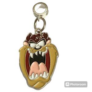 Taz Tas Tasmanian Devil Charm European Bead Bracelet Warner Bros Looney Tunes